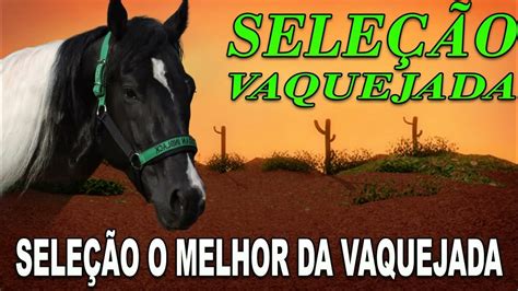 SELEÇÃO O MELHOR DA VAQUEJADA .